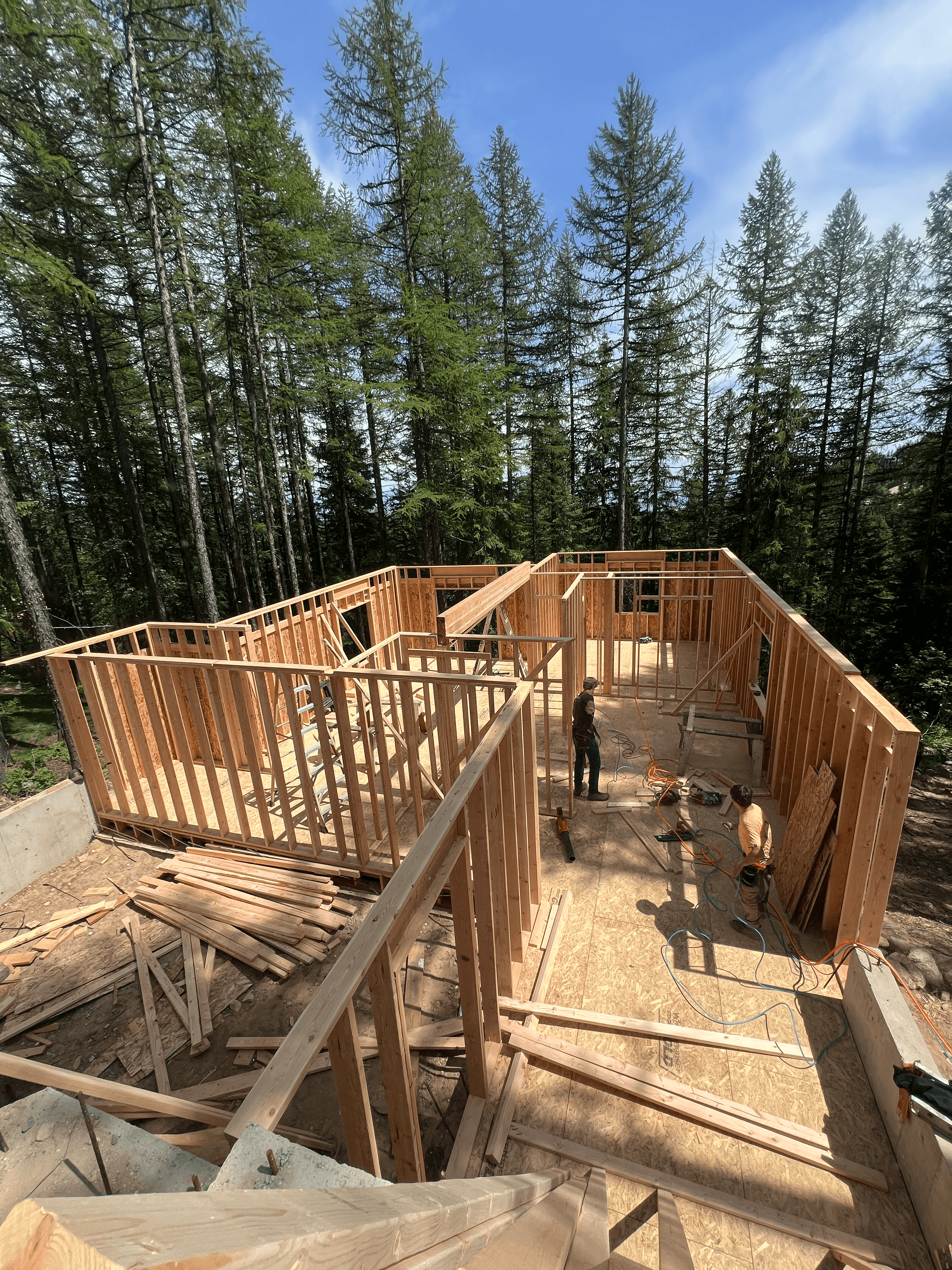 Construction workers framing a wooden house in a dense evergreen forest under a clear sky.